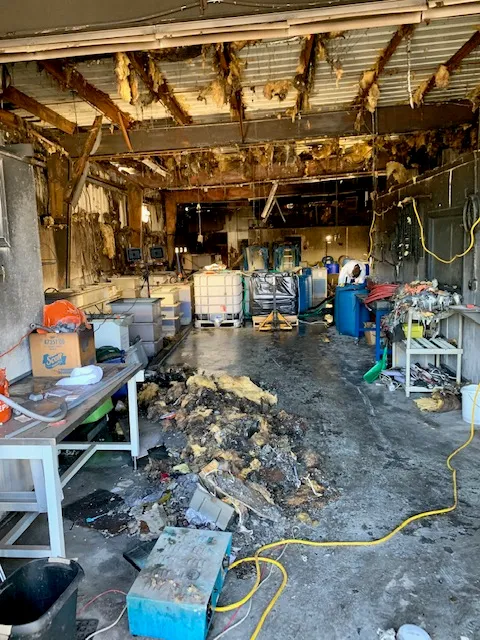 Job Photo 3
