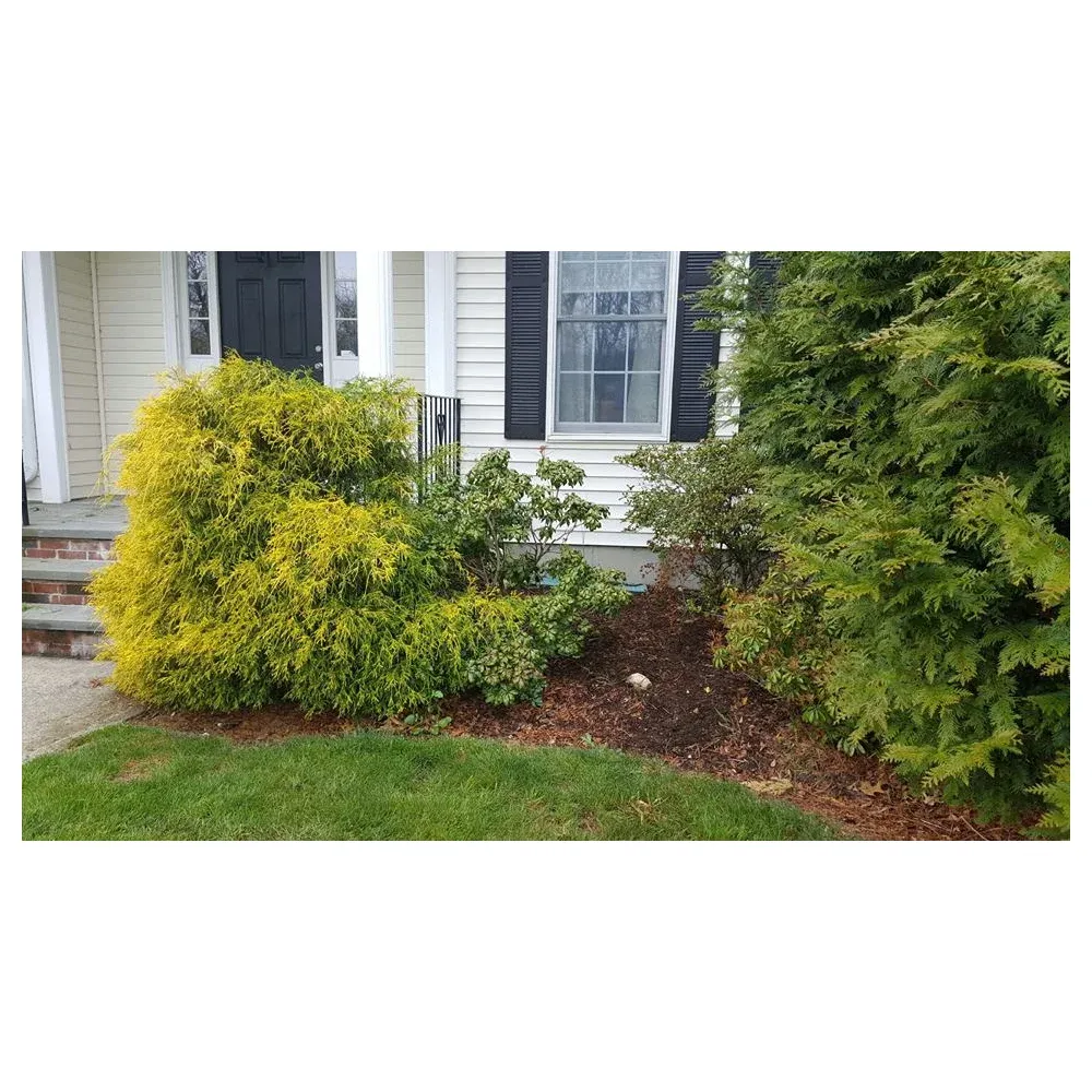 OCD Landscaping LLC researched project photo