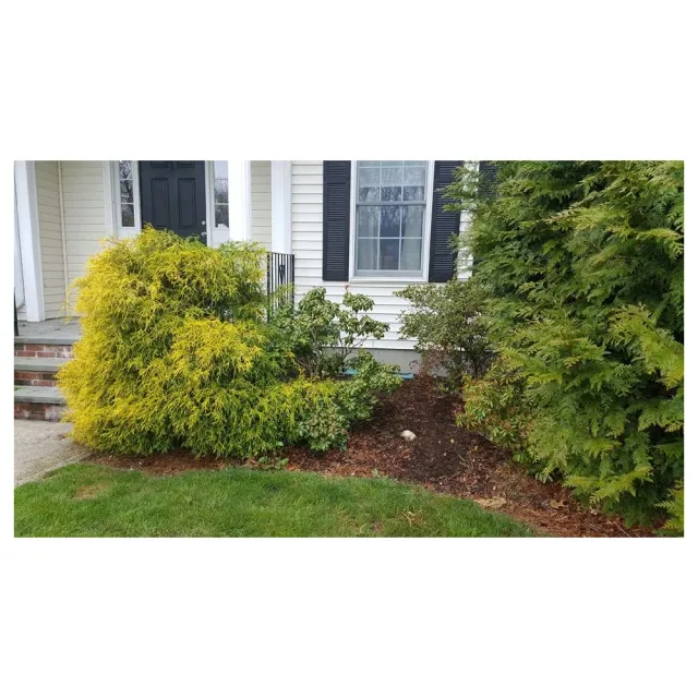 OCD Landscaping LLC researched project photo