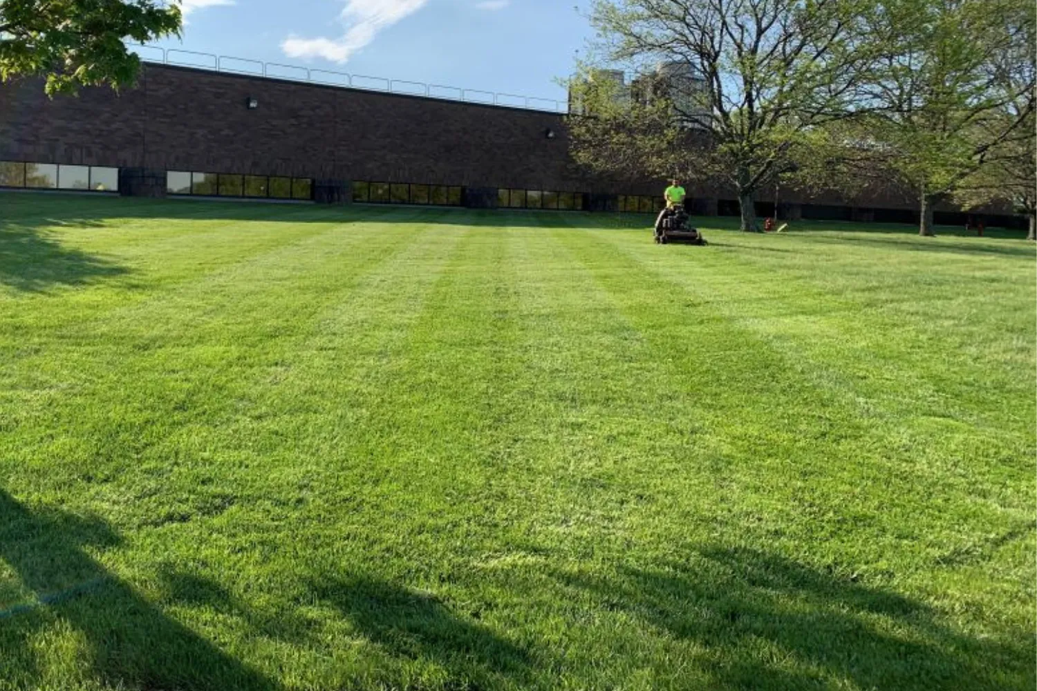 A commercial sit down mower makes straight rows through a large lawn of a commercial facility.