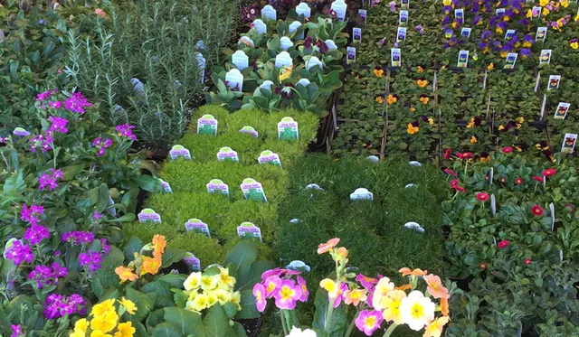 work photo from spillanesnursery.com