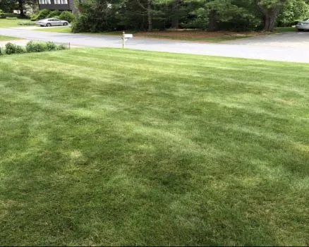 work photo from palandjianlandscaping.com