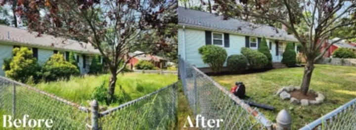 MW Guest Property Services