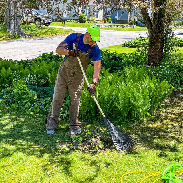 Green Wolf Property Maintenance work photo