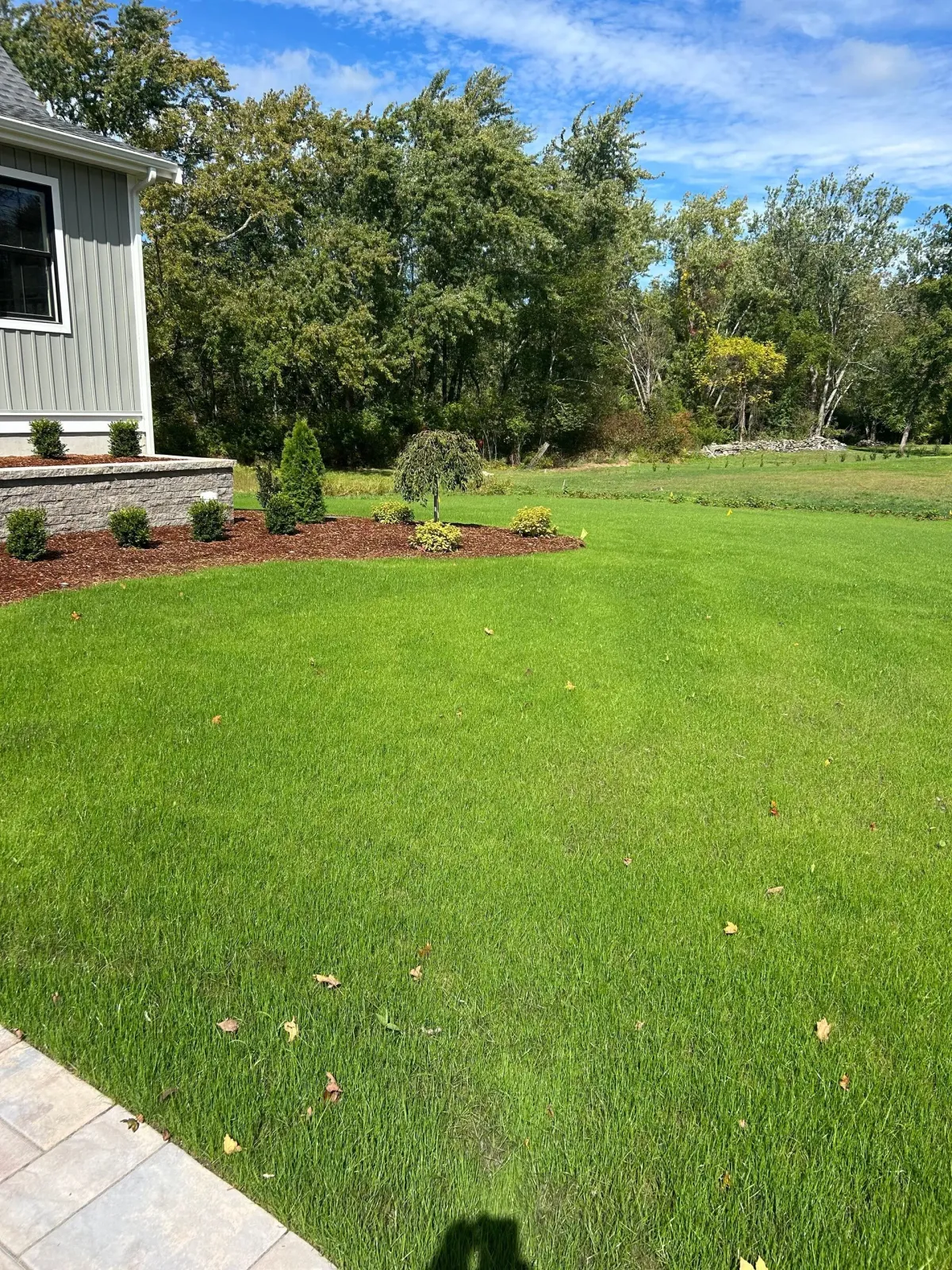 Sunny backyard with green lawn, garden beds, and a house corner under a blue sky