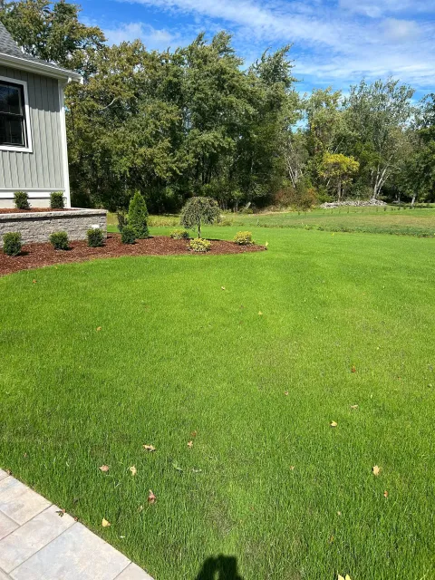 Sunny backyard with green lawn, garden beds, and a house corner under a blue sky