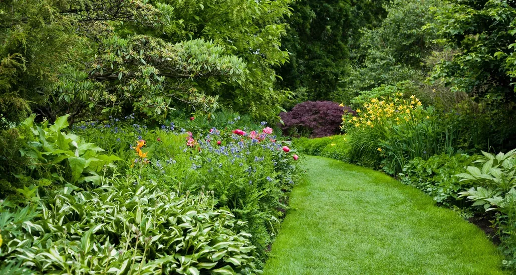 Lush, green garden path winding through a variety of colorful plants and flowers.