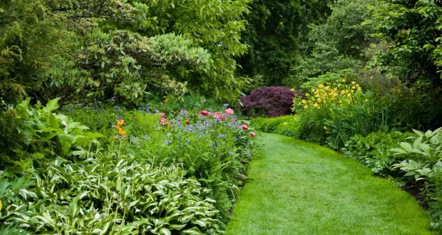 Lush, green garden path winding through a variety of colorful plants and flowers.