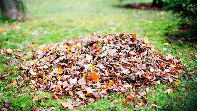 Seasonal fall cleanup services for homes & HOAs in Elmira, NY