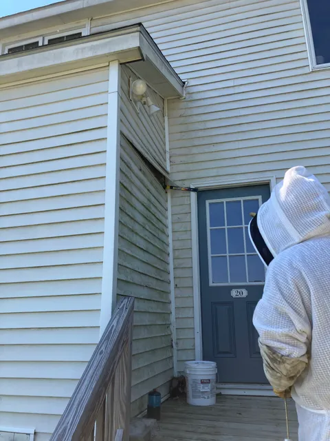 Atlantic Pest Control work photo