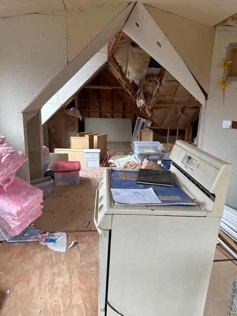 Arctic Fox Remodeling