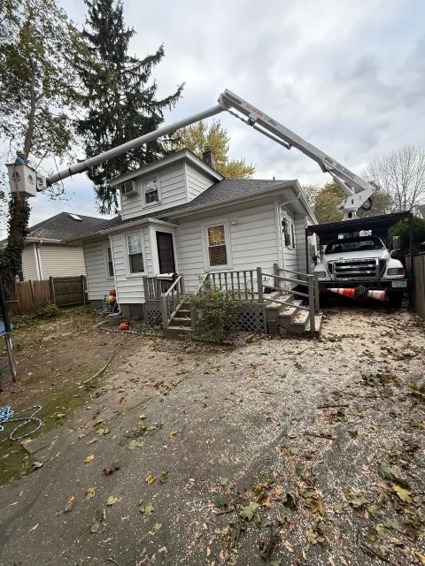 work photo from mmtreeservicellc.com