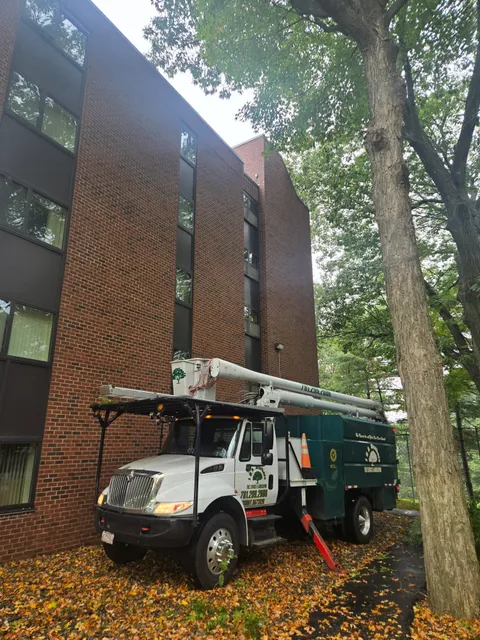 J&A Brothers Tree Service & Landscaping work photo