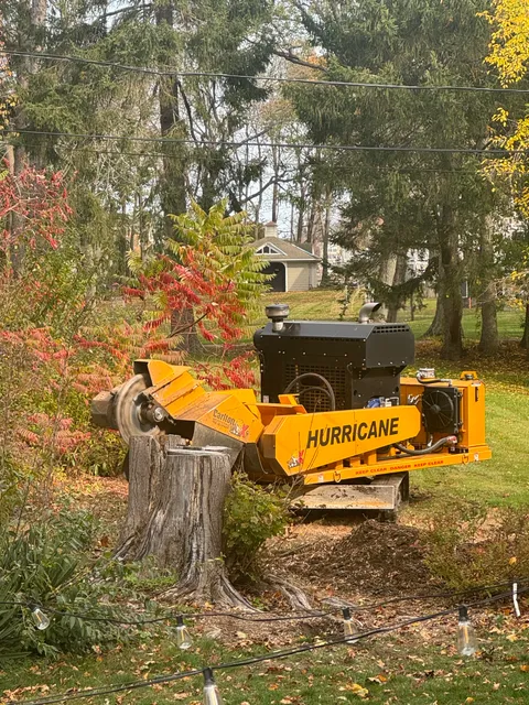 Woodchuck Stump Grinding work photo
