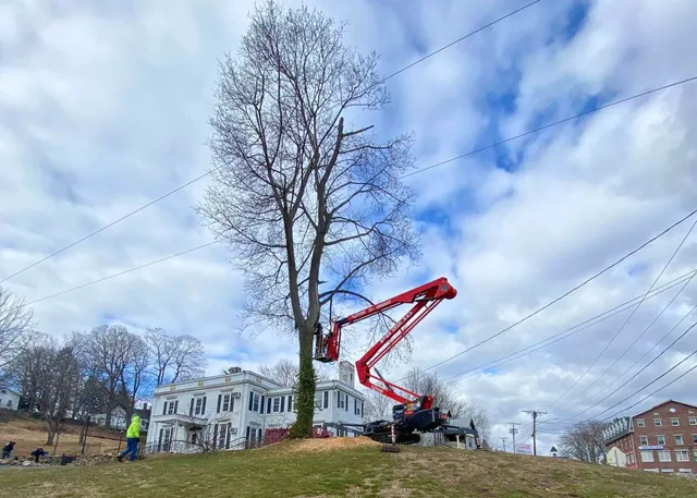 work photo from evergreenlawnandlandscape.com