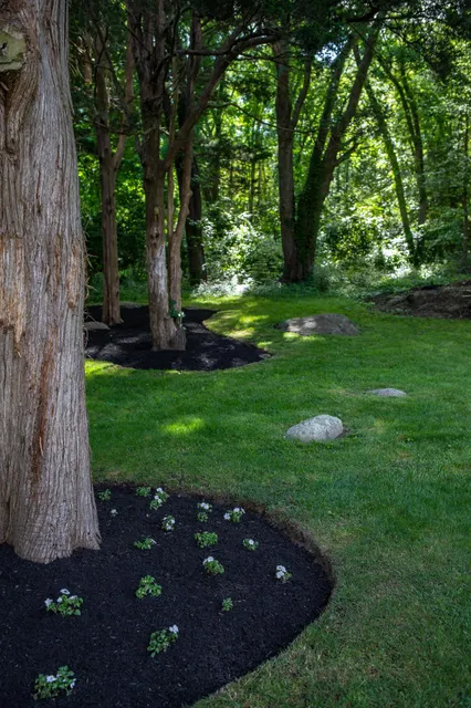 Pear Tree Property Services