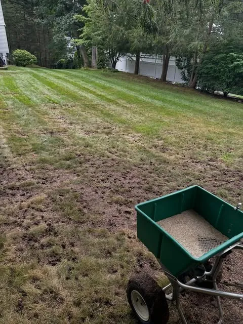 Horizon Landscape work photo