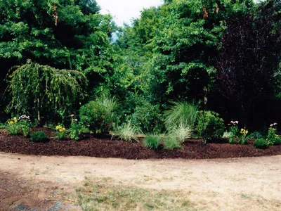 work photo from aikenlandscaping.com