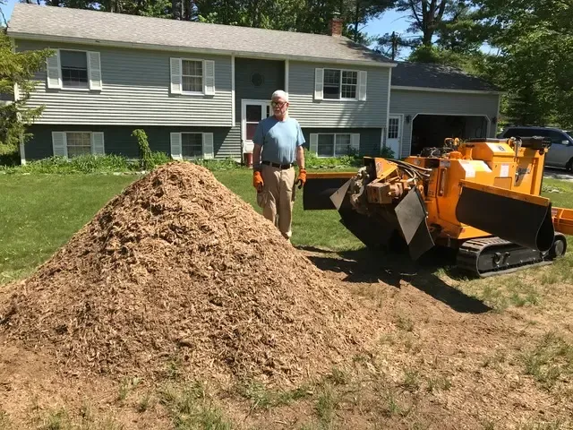 work photo from stumpyoldmen.com