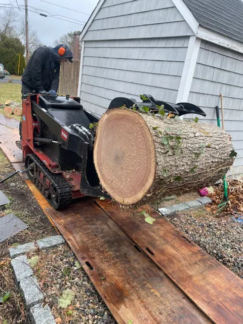 work photo from icetreeservicecapecod.com