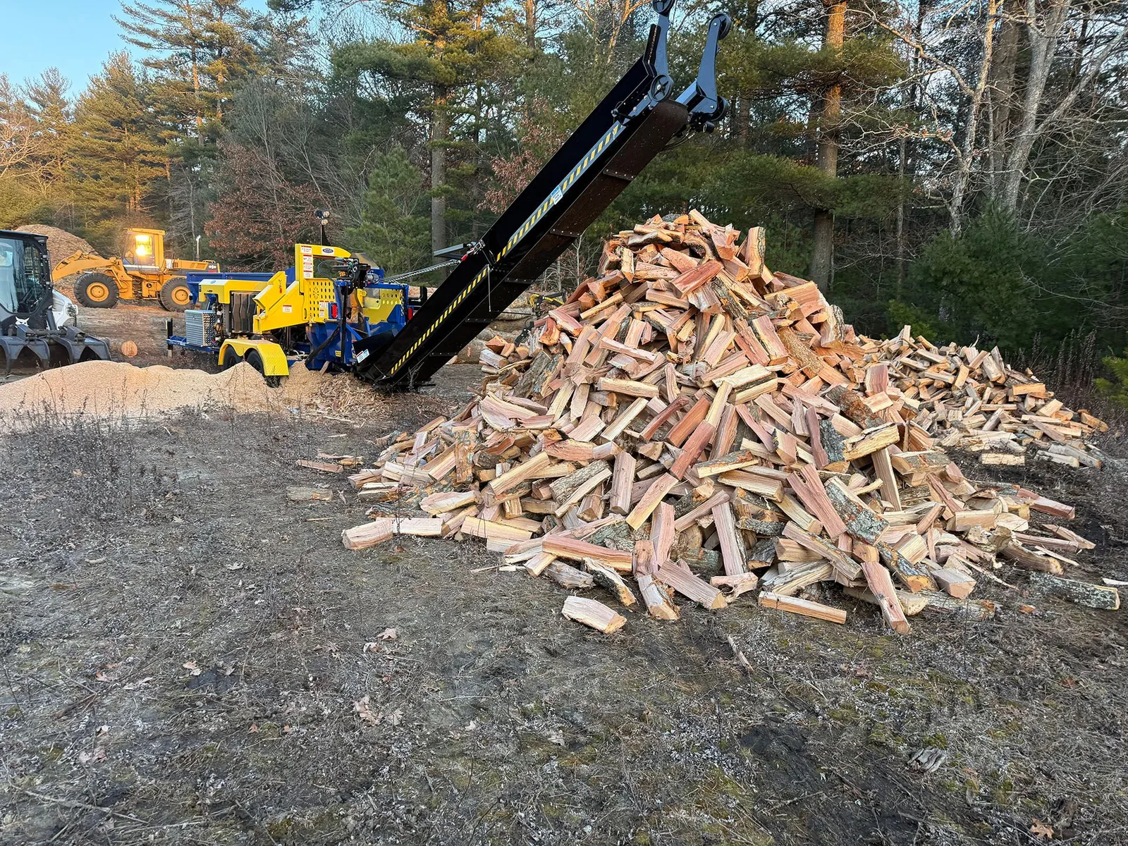 Seasoned Cord Wood