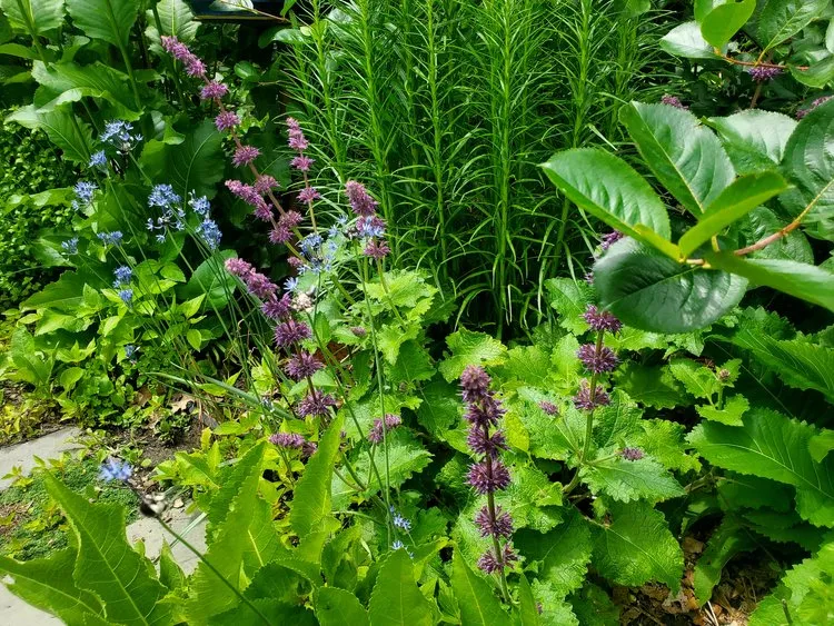 All Gardens Inc.