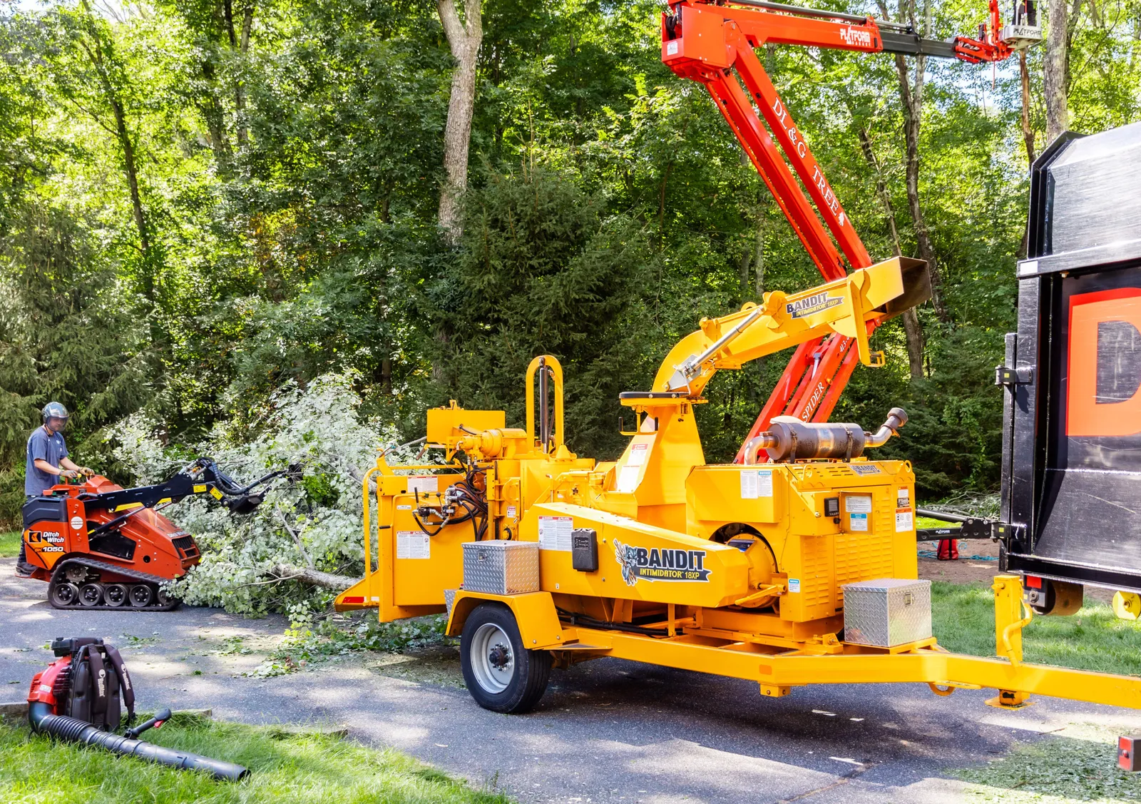 work photo from dlandgtree.com