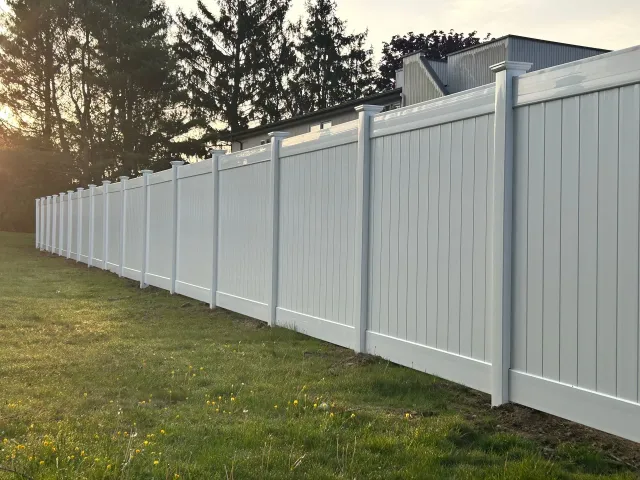 fence #3