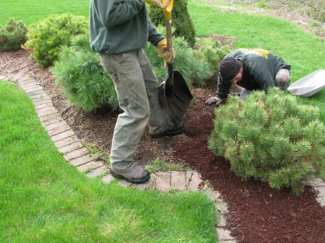 Glades Landscaping & Lawn Mowing work photo