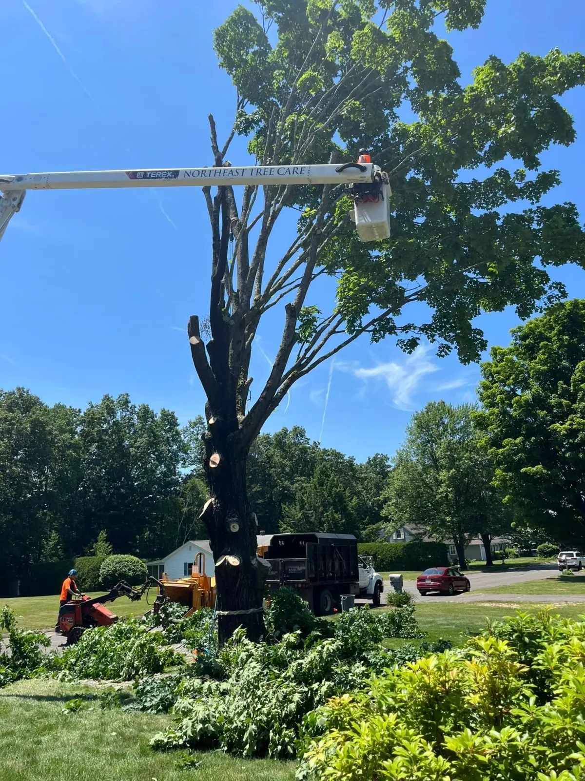 Bucket Truck