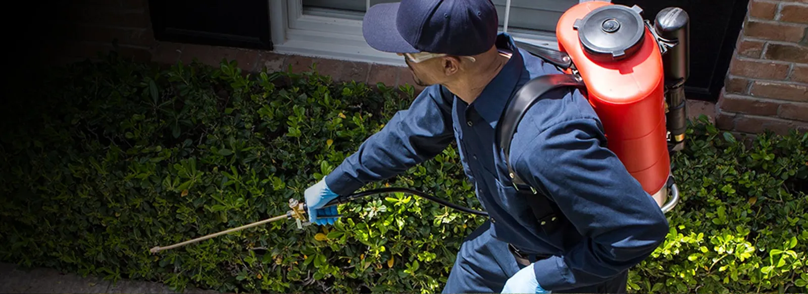 Pest control service in Western Massachusetts