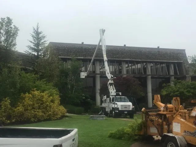 work photo from sandovaltreeservice.com