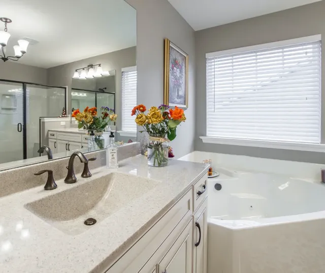 Lux Professional Cleaning Service