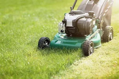 Lawn Care