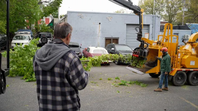 Eastern Tree Service researched project photo