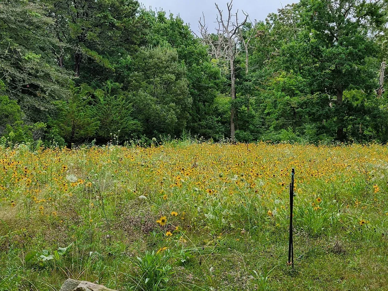 20230816_093000 - Copy.jpg