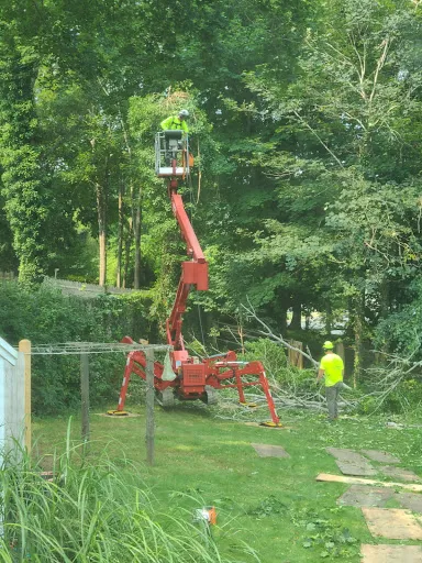 Review photo by Emily Lindblad