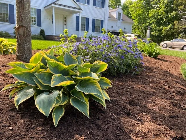 work photo from bblandscapingmedfield.com