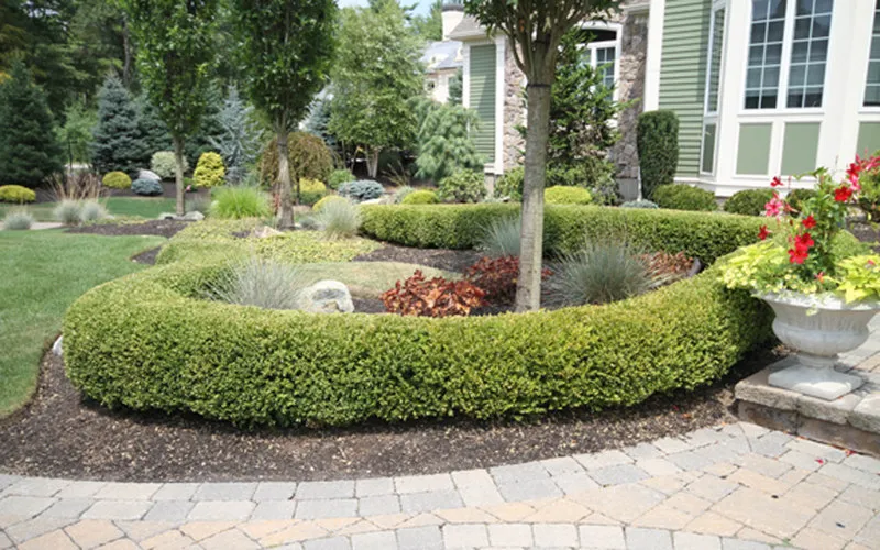 Landscaped pool surround