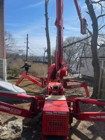 Arborist — Tree Services in Revere, MA