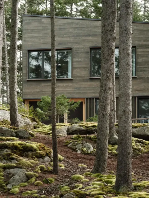 A modern wood-paneled house with large windows, crafted by Maine homebuilders, is nestled among tall trees and moss-covered rocks in a forest setting.