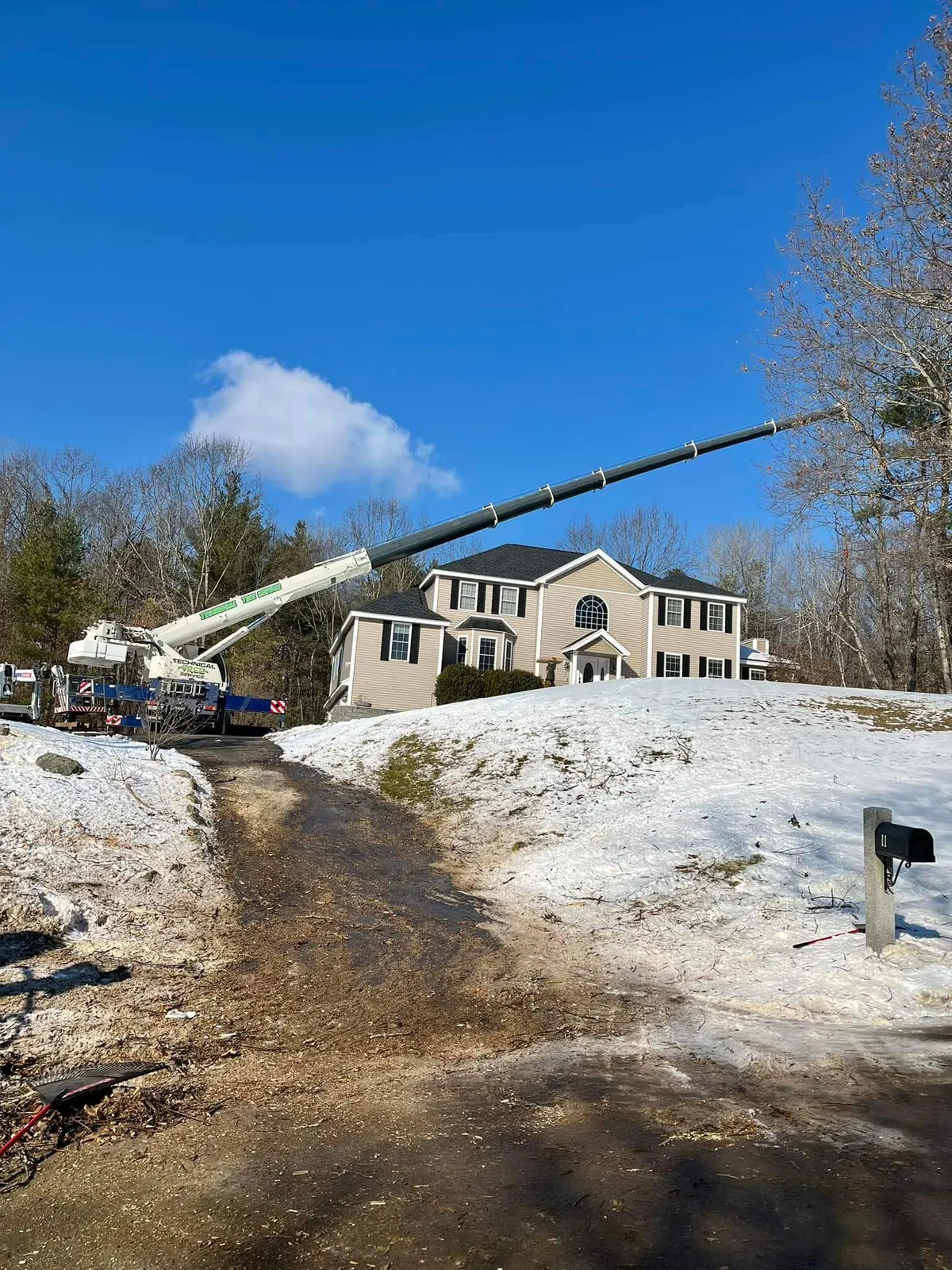 work photo from technicaltreeservice.com