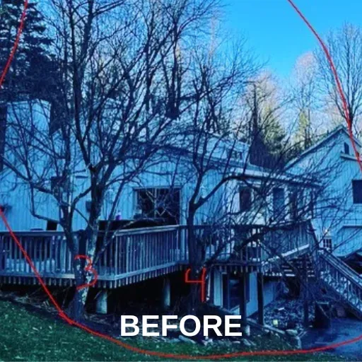 Tree Near The Deck — Ware, MA — LaBier Brothers Tree Experts