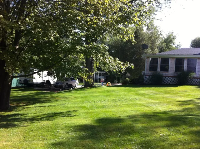 Freshly mowed shaded residential lawn