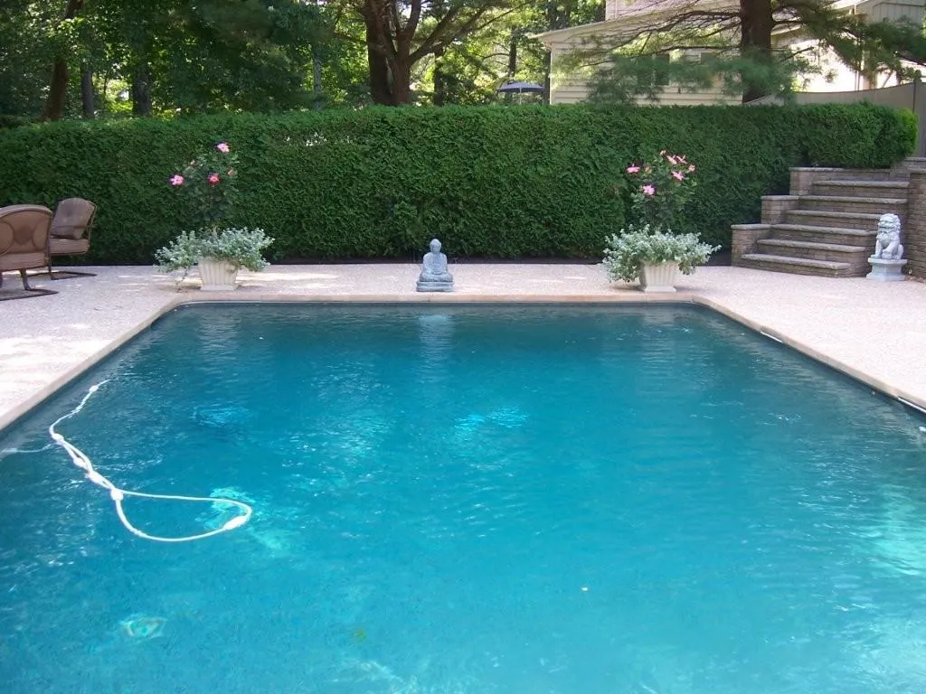 work photo from poolproma.com