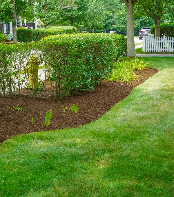 Welcome to De'Angele Landscape & Construction
