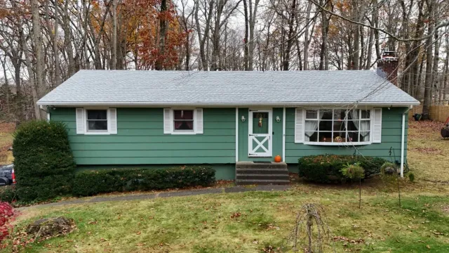 Green ranch house with white trim, a small front porch, and a brown brick chimney against a backdrop of trees.
