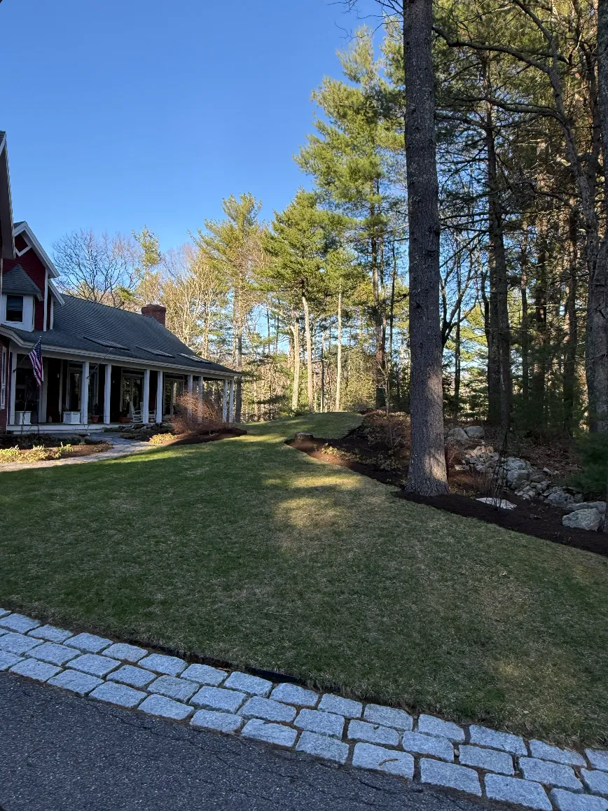 Lawn Restoration & Cobblestone Edging