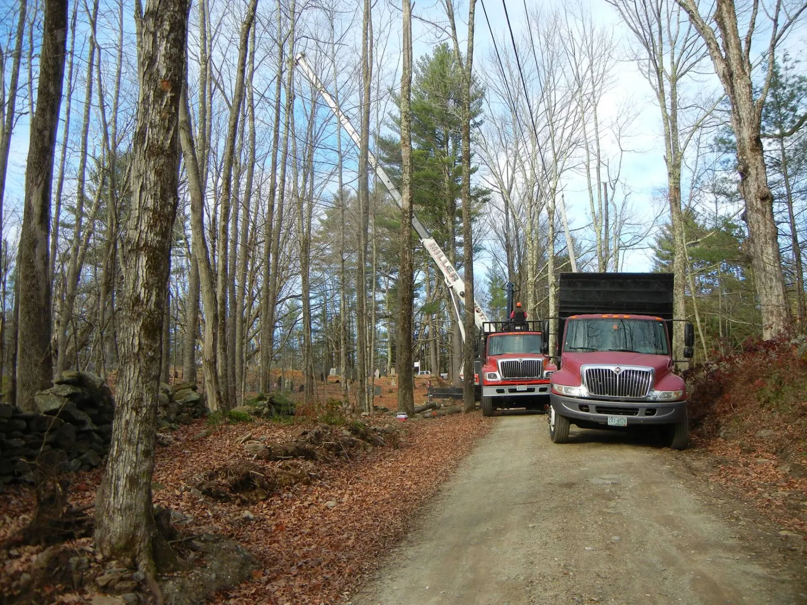 work photo from atomictreeserviceinc.com