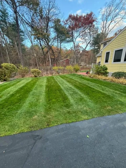 Striped Lawn & Landscaping